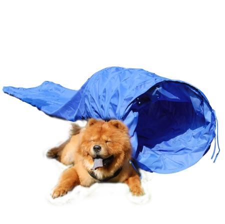 15' Dog Agility Tunnel Pet Training Equipment with Carry Case Blue - Trend Times Toy Stores