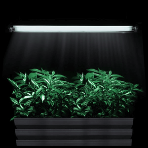 2-t5-ho-fluorescent-grow-light-fixture-2-tube-48w-6400k-64.png