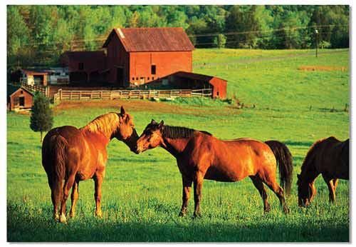 200-piece-kissing-horses-jigsaw-puzzle-melissa-and-doug-43.png