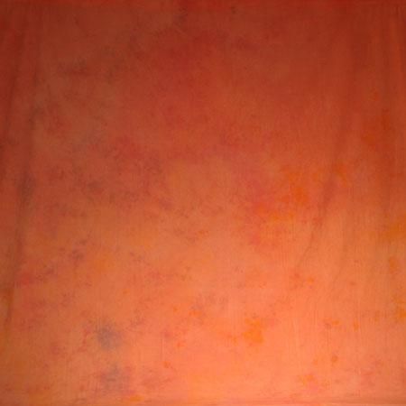 20x10-ft-hand-painted-muslin-photography-background-13bn-35.png