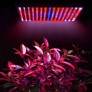 225-blue-red-orange-white-led-plant-grow-light-panel-59.png