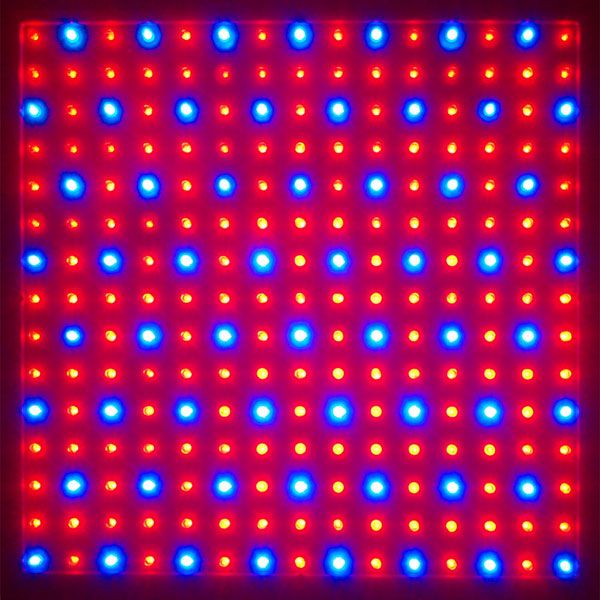 225-high-power-12v-red-blue-led-plant-grow-light-panel-54.png