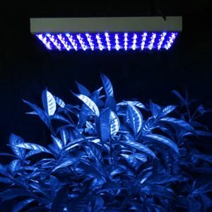 225-high-power-blue-lamp-led-plant-grow-light-panel-64.png