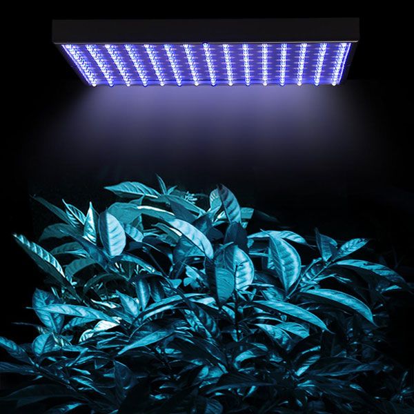 225-high-power-blue-lamp-led-plant-grow-light-panel-68.png