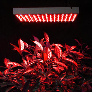 225-high-power-blue-lamp-led-plant-grow-light-panel-70.png