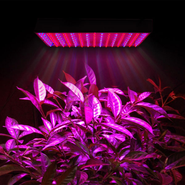 225-high-power-blue-lamp-led-plant-grow-light-panel-72.png