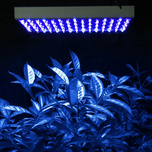 225-high-power-blue-lamp-led-plant-grow-light-panel-74.png