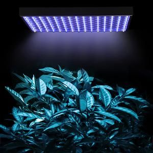 225-high-power-blue-white-led-plant-grow-light-panel-59.png