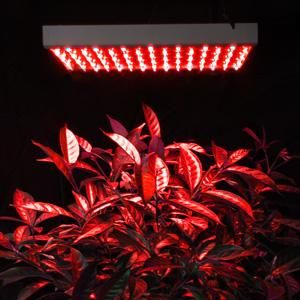 225-high-power-red-lamp-led-plant-grow-light-panel-57.png