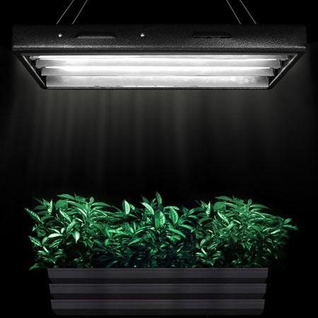 2 Foot High Output T5 Fluorescent Grow Light 4 Tubes - Trend Times Toy Stores