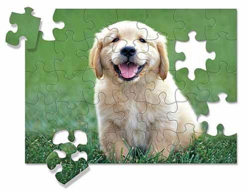 30-piece-golden-retriever-puppy-jigsaw-puzzle-melissa-and-doug-43.png