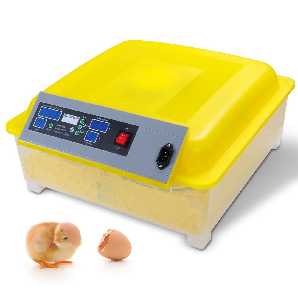 48-digital-egg-incubator-45.png