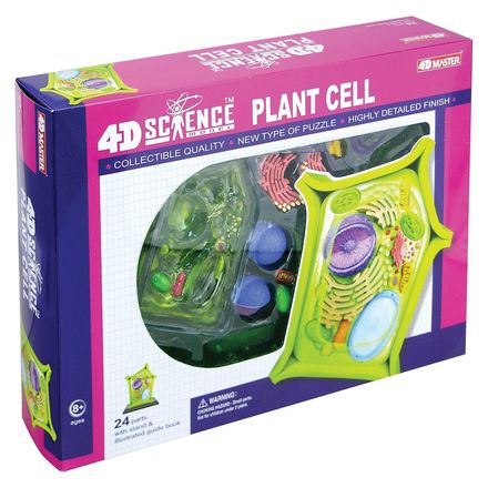 4d-science-plant-cell-model-86.png