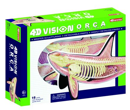 4d-vision-orca-anatomy-model-44.png