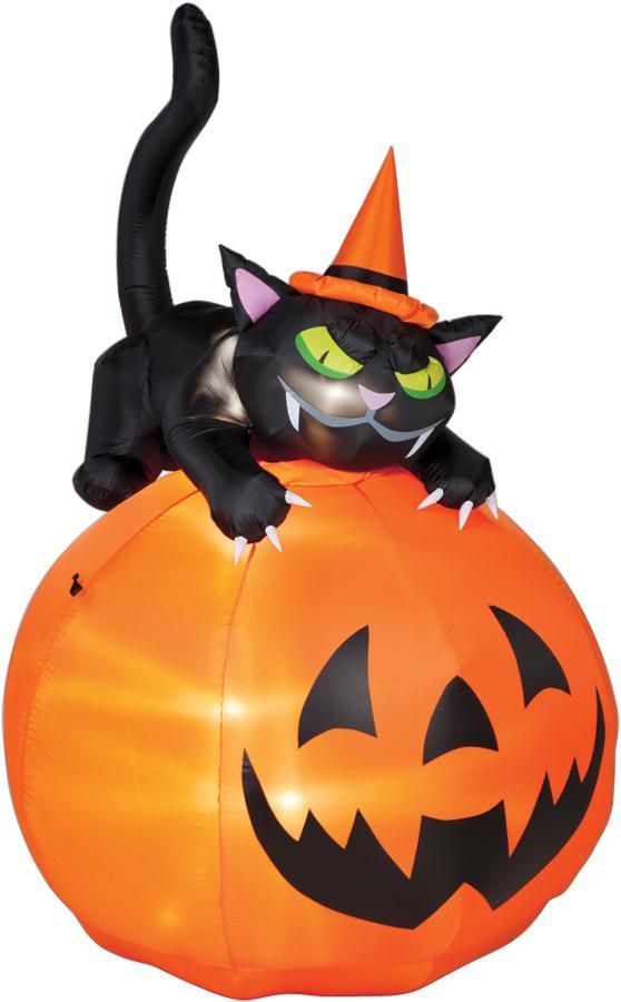 airblown-cat-over-jack-o-lante-35.png