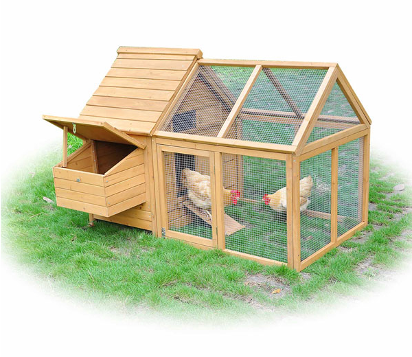 all-in-one-chicken-coop-46.png