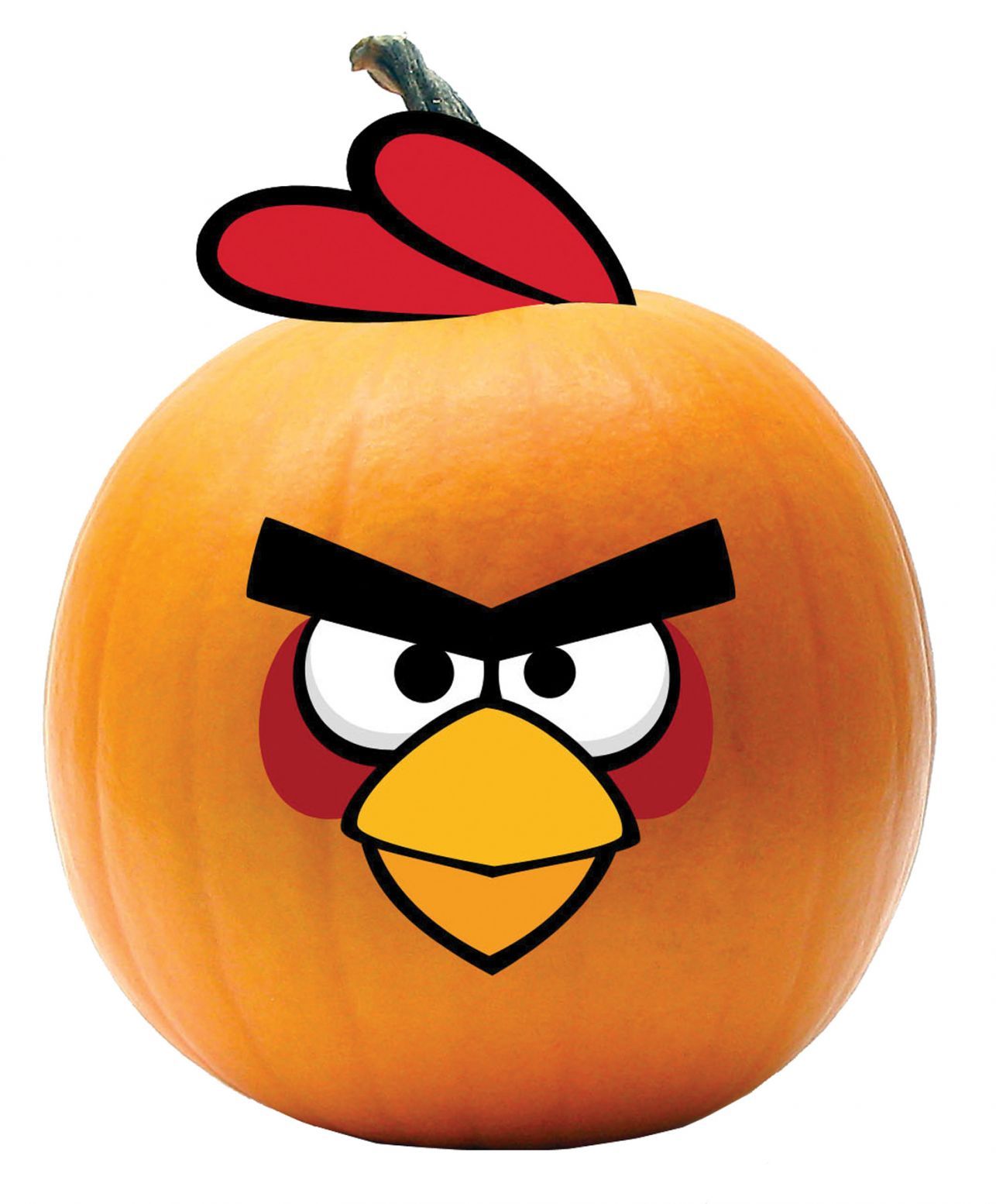 angry-bird-red-bird-push-in-50.png