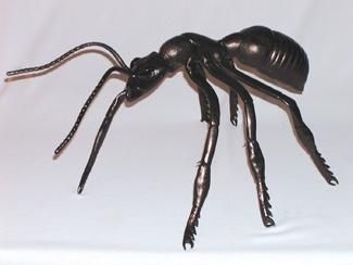 ant-giant-latex-33.png