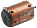 Associated LRP50832 Vector X-12 10.5 Turn Stock Spec Motor