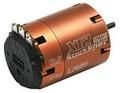 Associated LRP50842 Vector X-12 13.5 Turn Stock Spec Motor