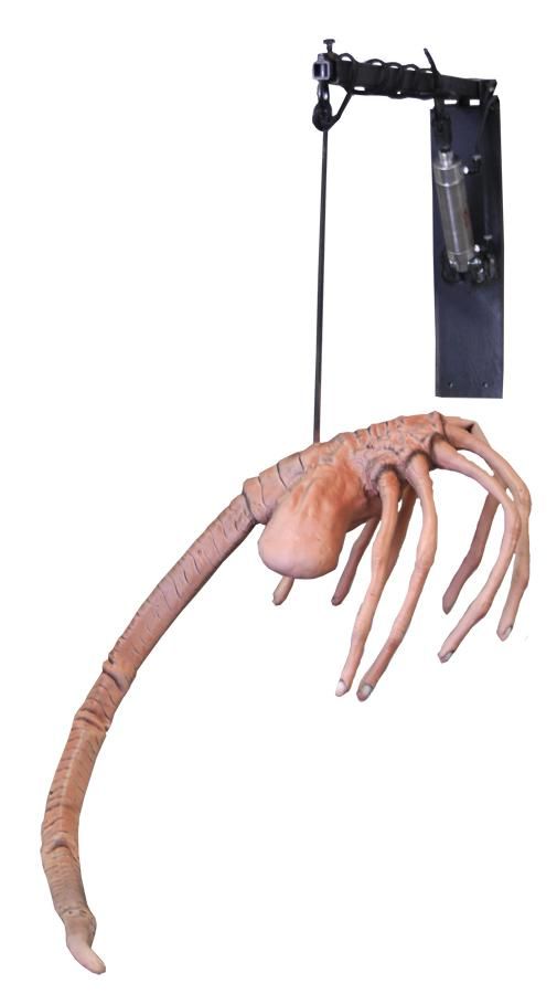 attack-facehugger-35.png