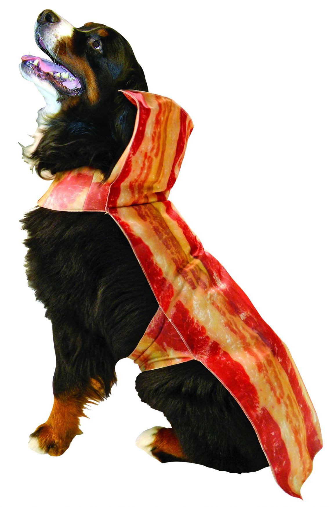 bacon-dog-xxxl-costume-28.png