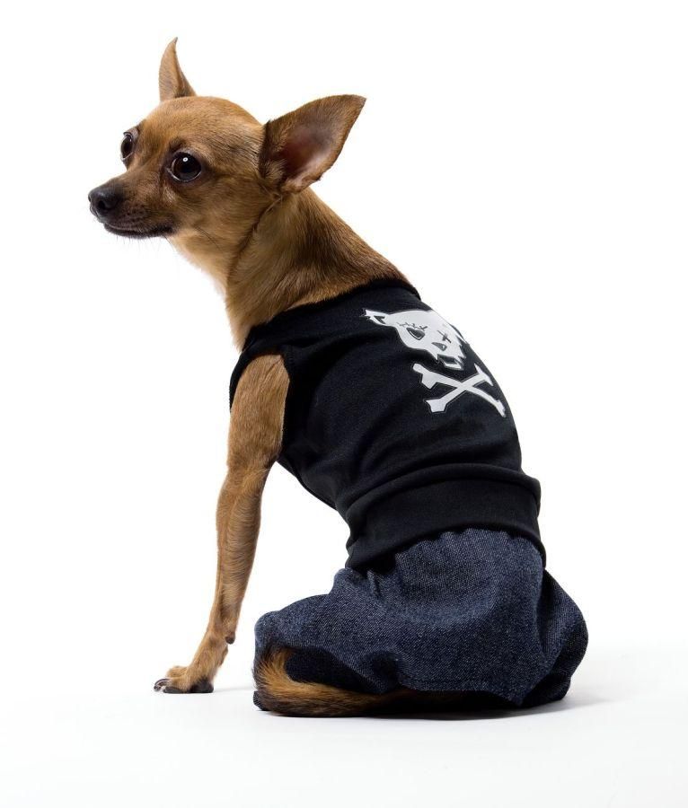 bad-boy-dog-costume-medium-35.png