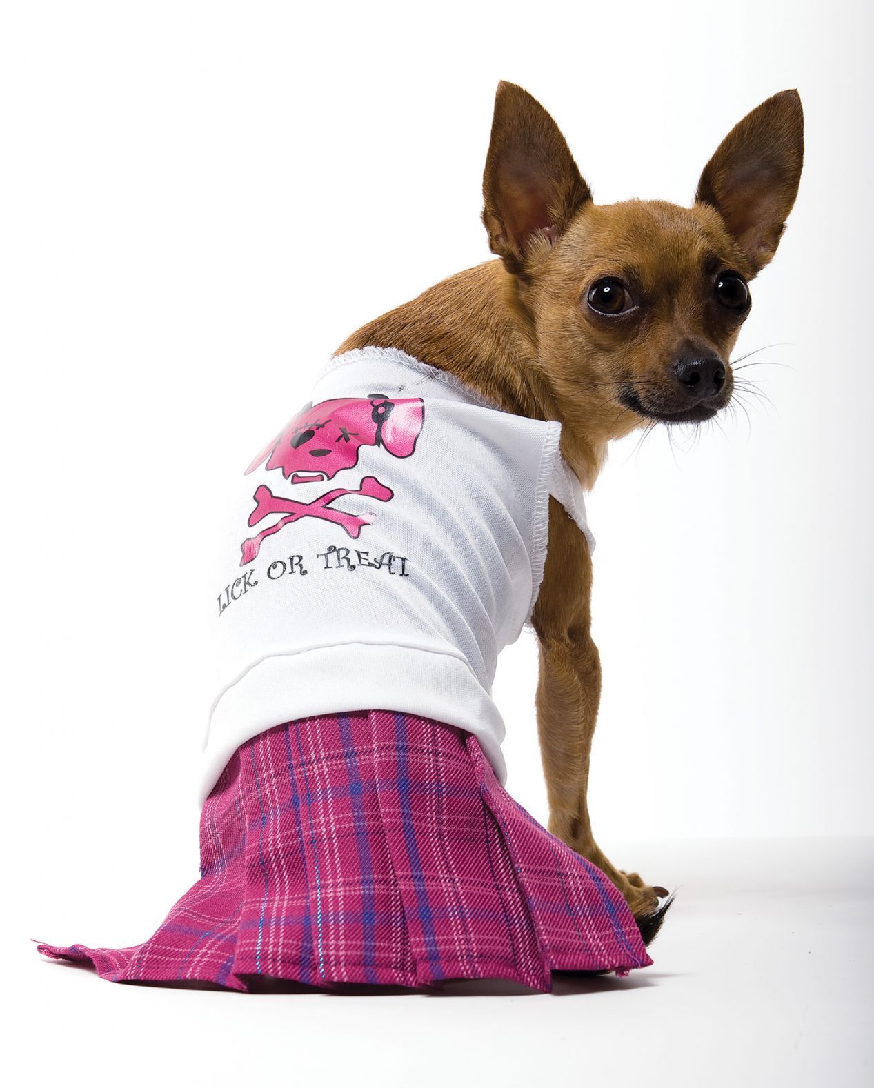 bad-girl-dog-costume-medium-52.png