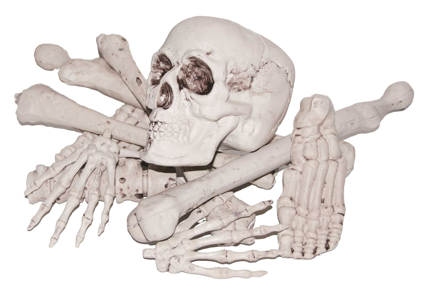 bag-of-bones-costume-33.png