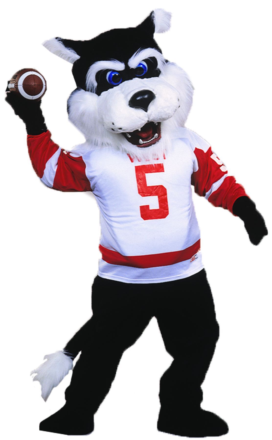 bearcat-as-pictured-50.png