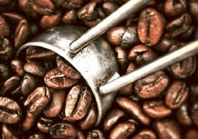 best-sustainable-organic-coffee-blue-mountain-comparable-51.png