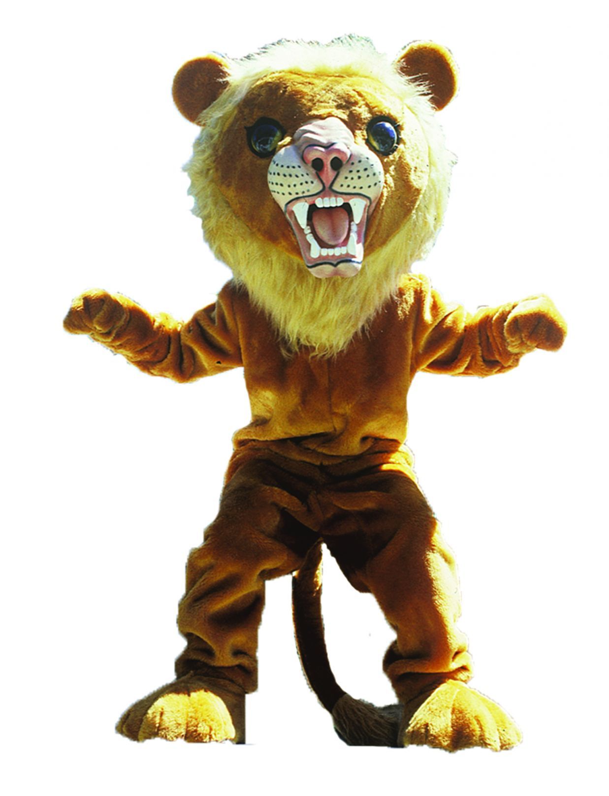 big-cat-lion-as-pictured-48.png