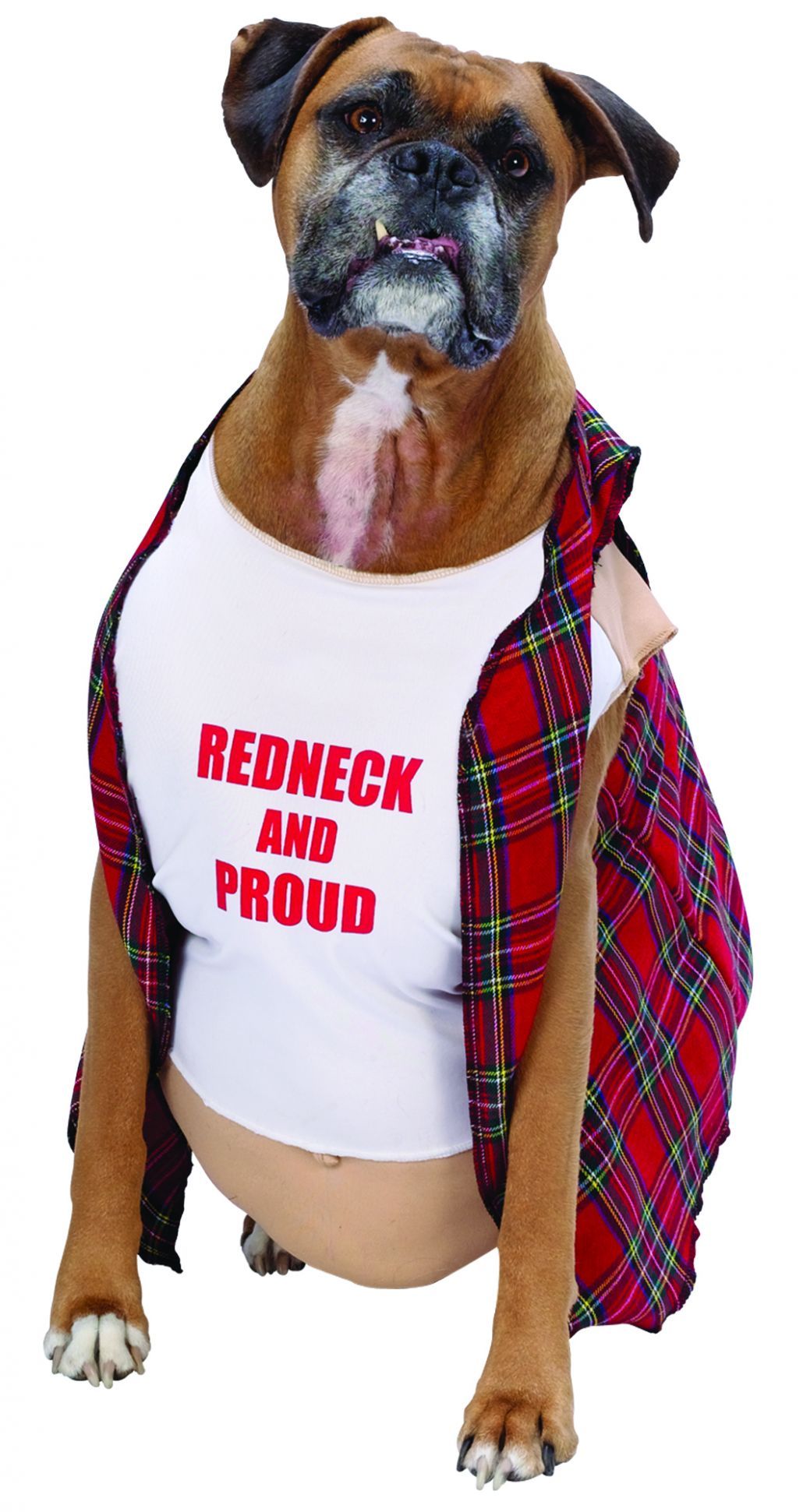 big-dog-red-neck-pet-costume-51.png