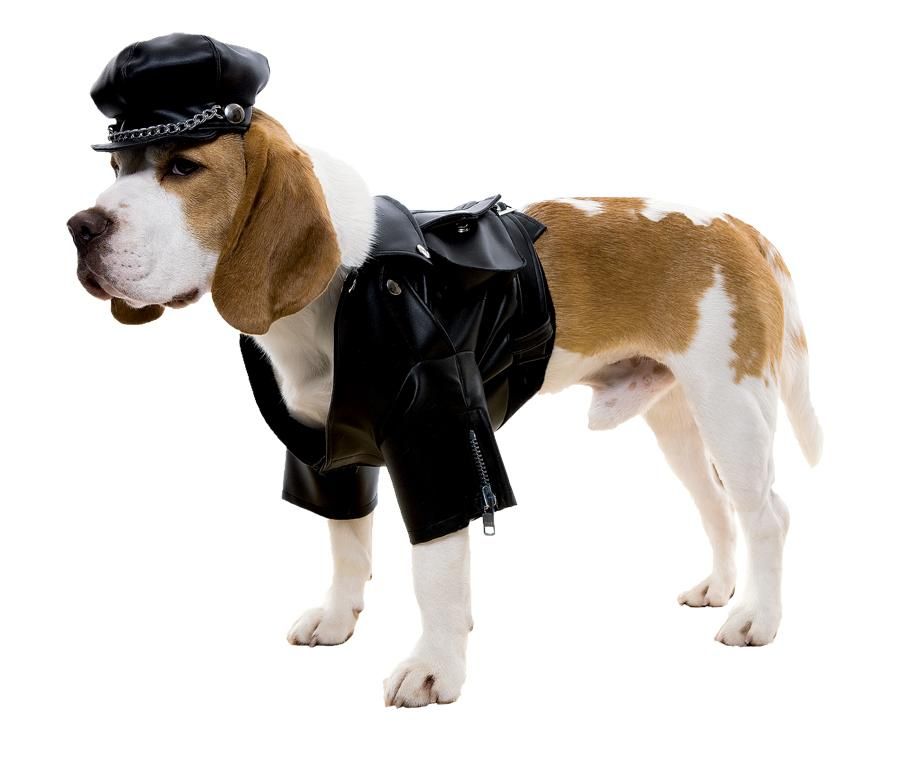 biker-dog-dog-costume-large-35.png