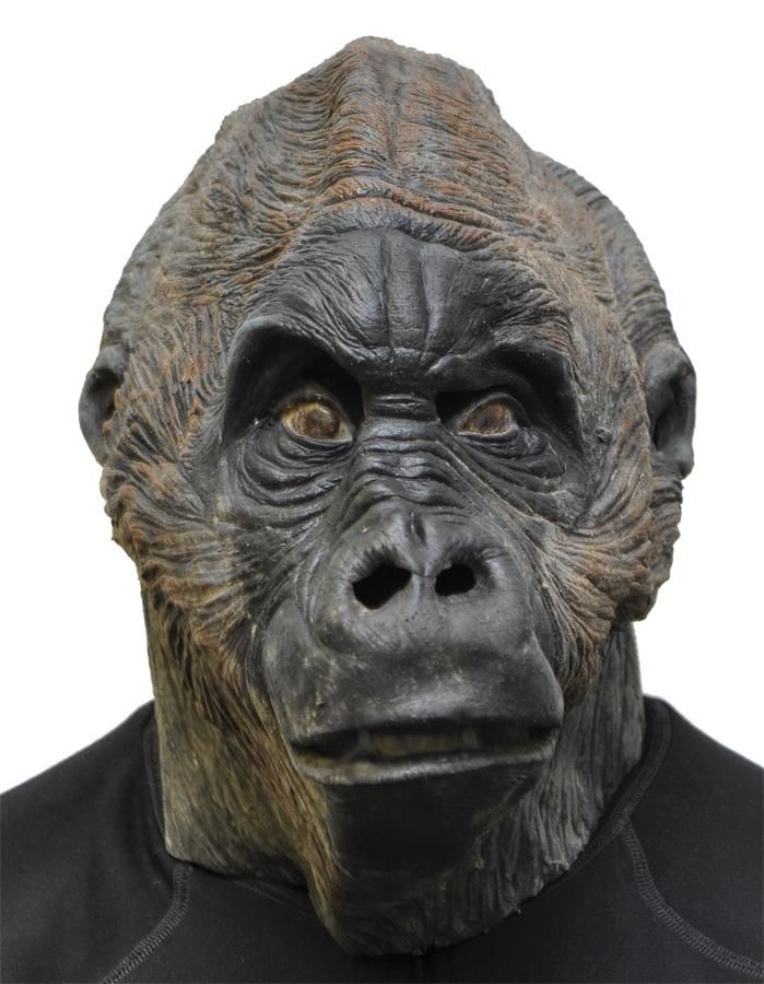 bongo-gorilla-mask-latex-35.png