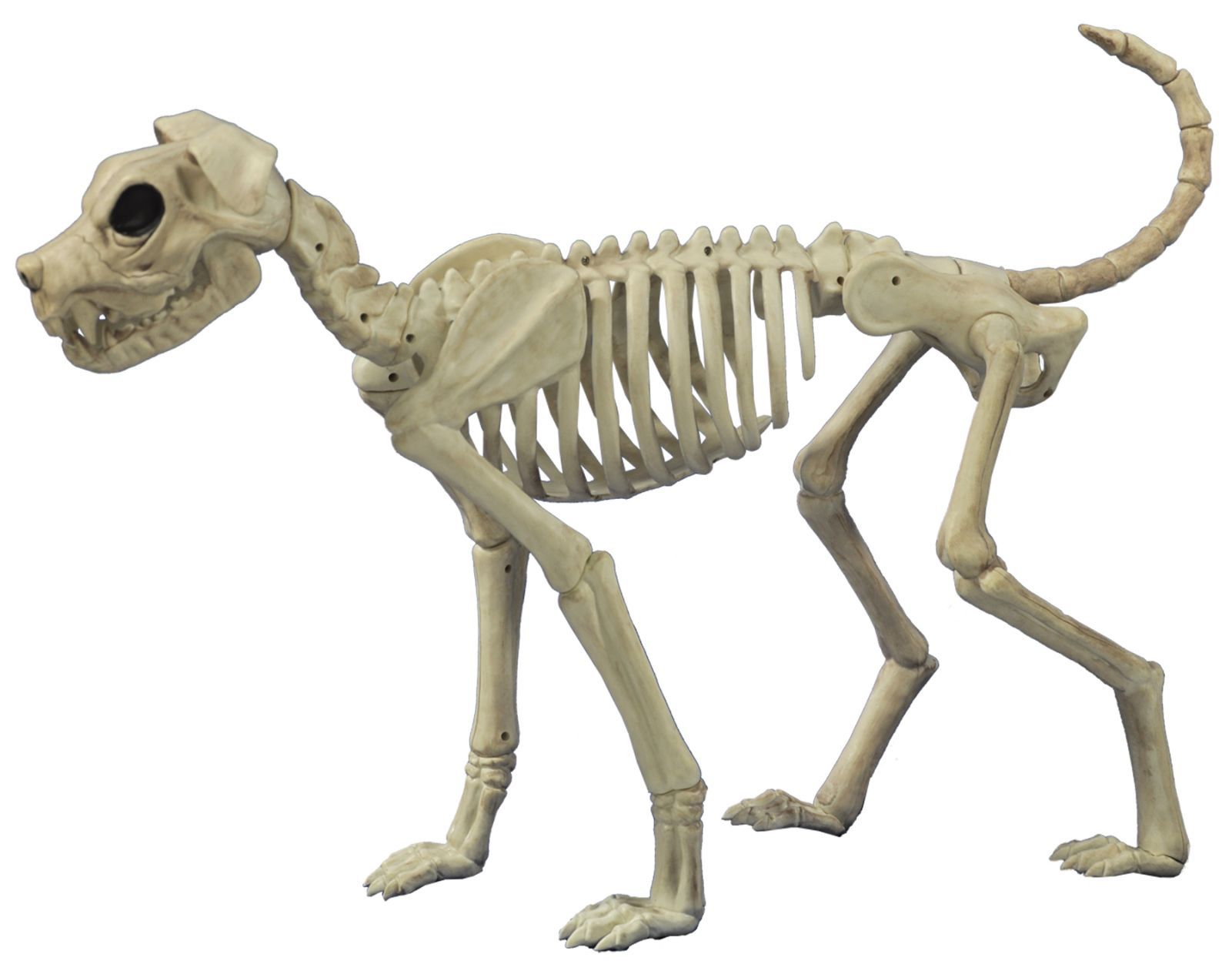 buster-bonez-costume-28.png