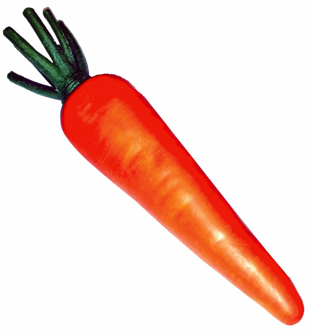 carrot-plastic-12-44.png