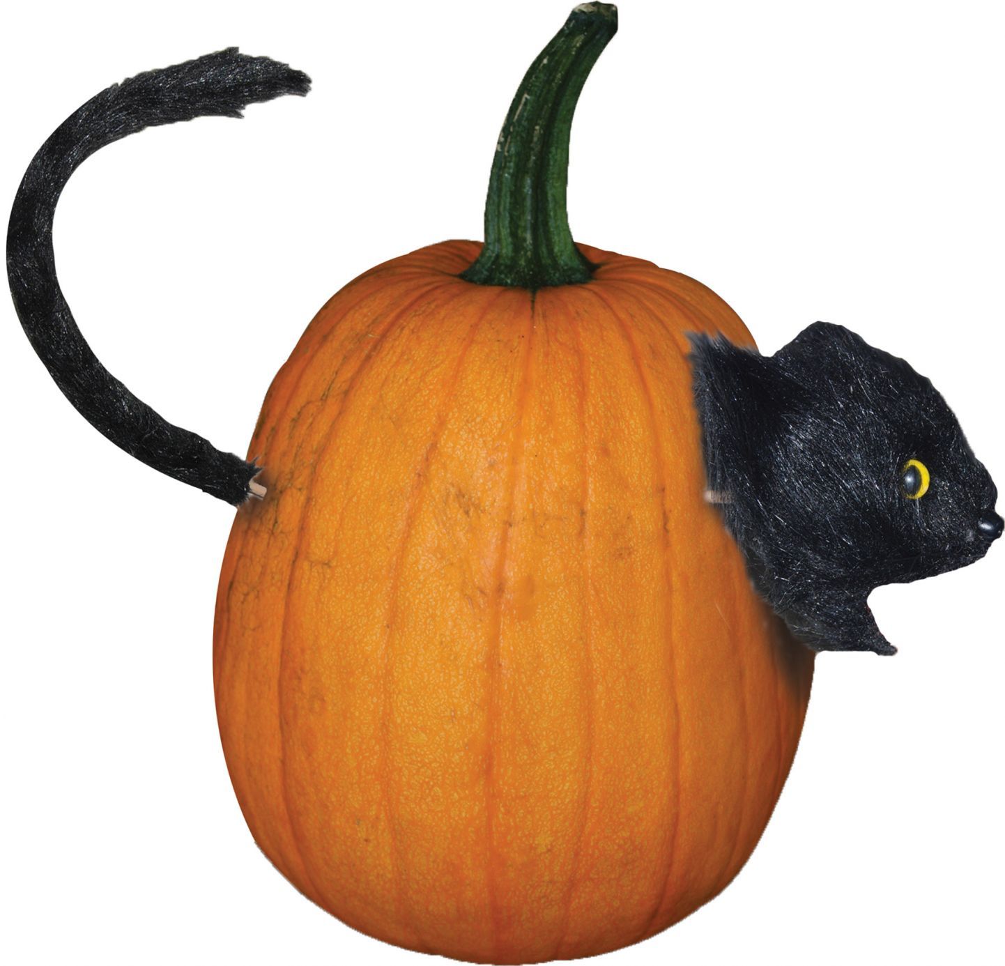 cat-pumpkin-push-in-costume-30.png