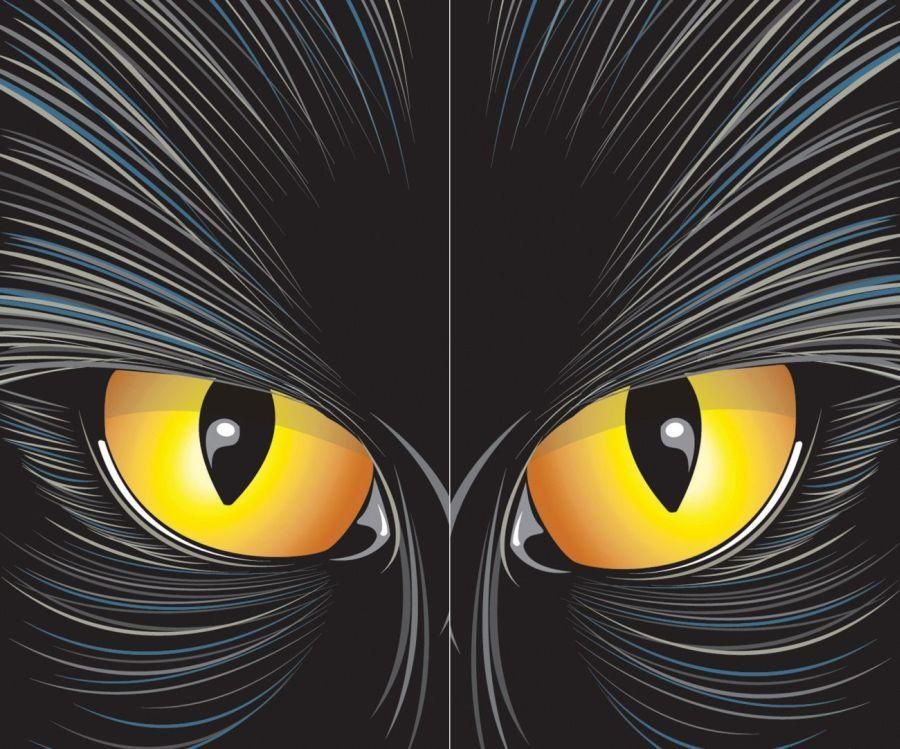 catrageous-cat-eyes-33.png