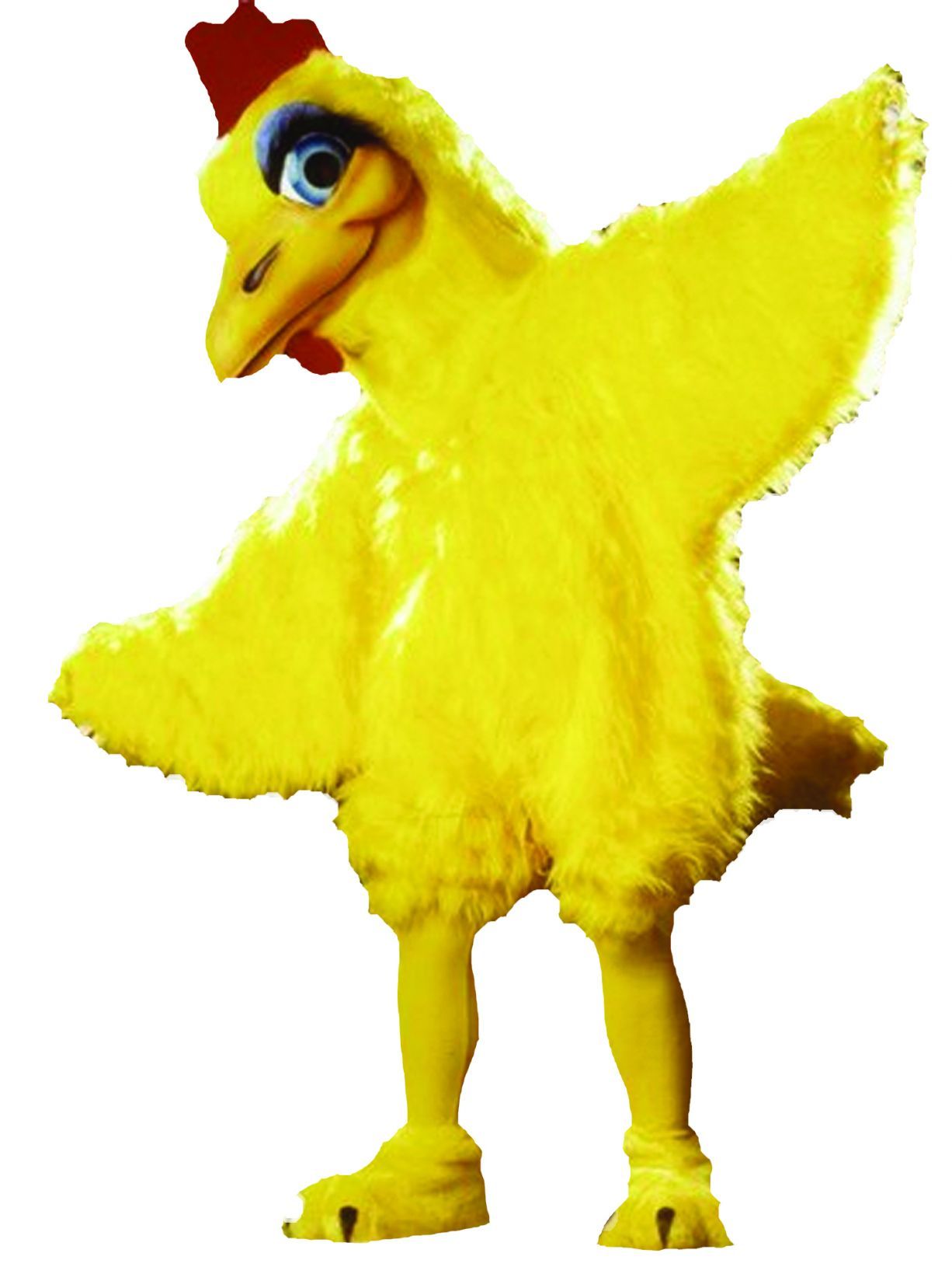 clara-cluck-as-pictured-50.png