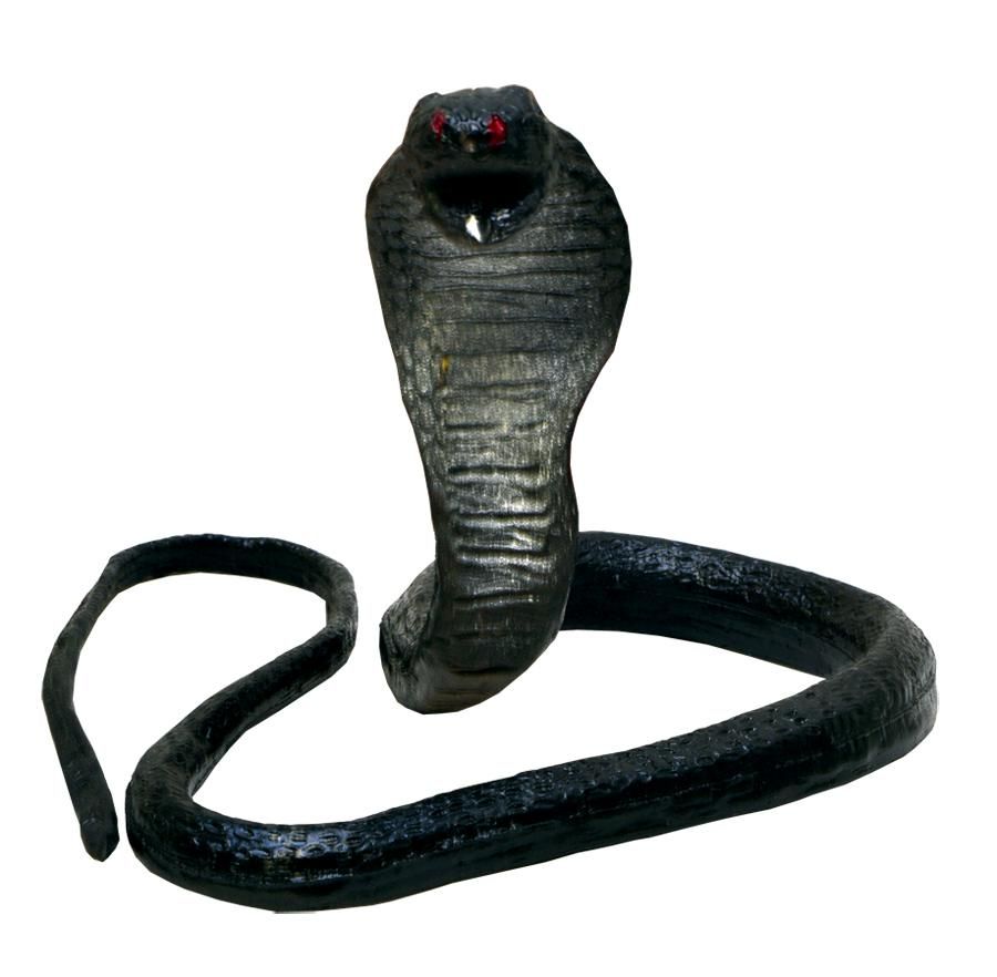 cobra-custom-35.png