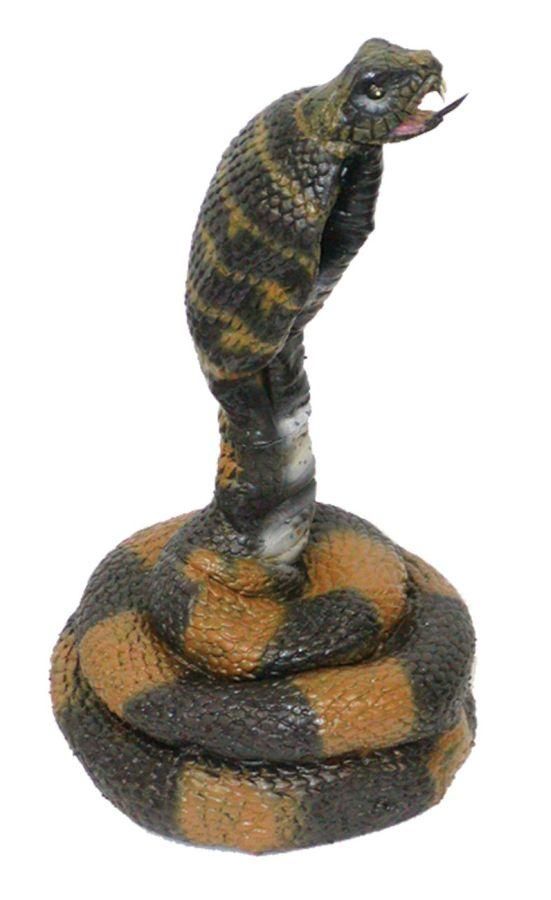 coiled-cobra-latex-15-inch-35.png