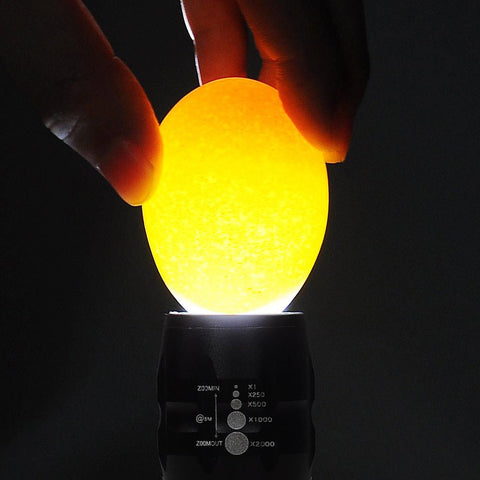 Cool-Lite LED Incubator Egg Candler Tester