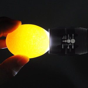 cool-lite-led-incubator-egg-candler-tester-51.png