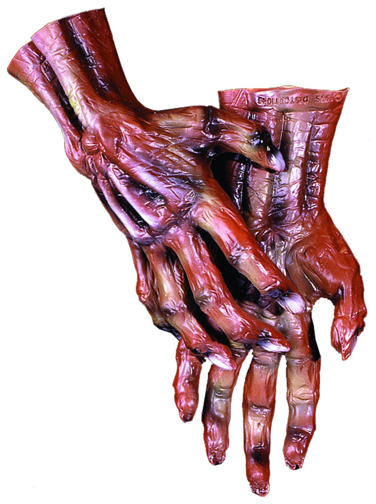 corpse-hands-50.png