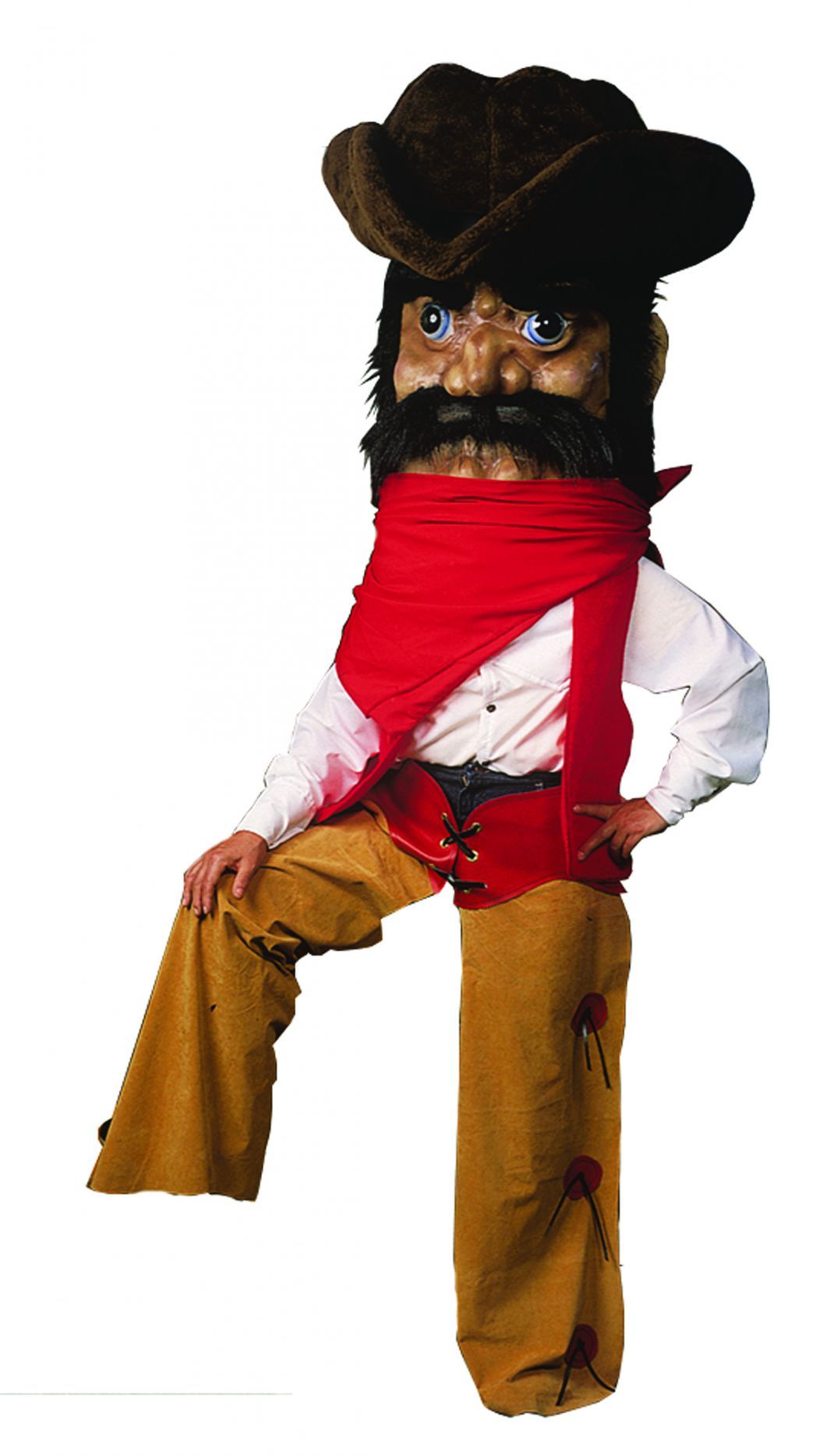 cowboy-costume-as-pictured-50.png