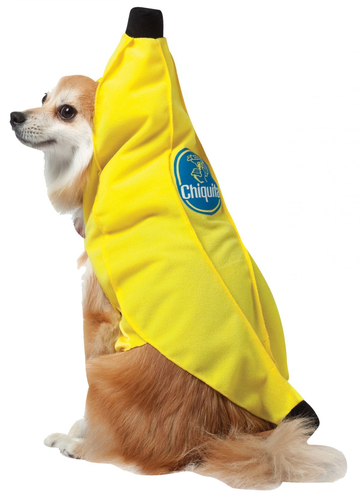 cqb-dog-costume-medium-costume-18.png