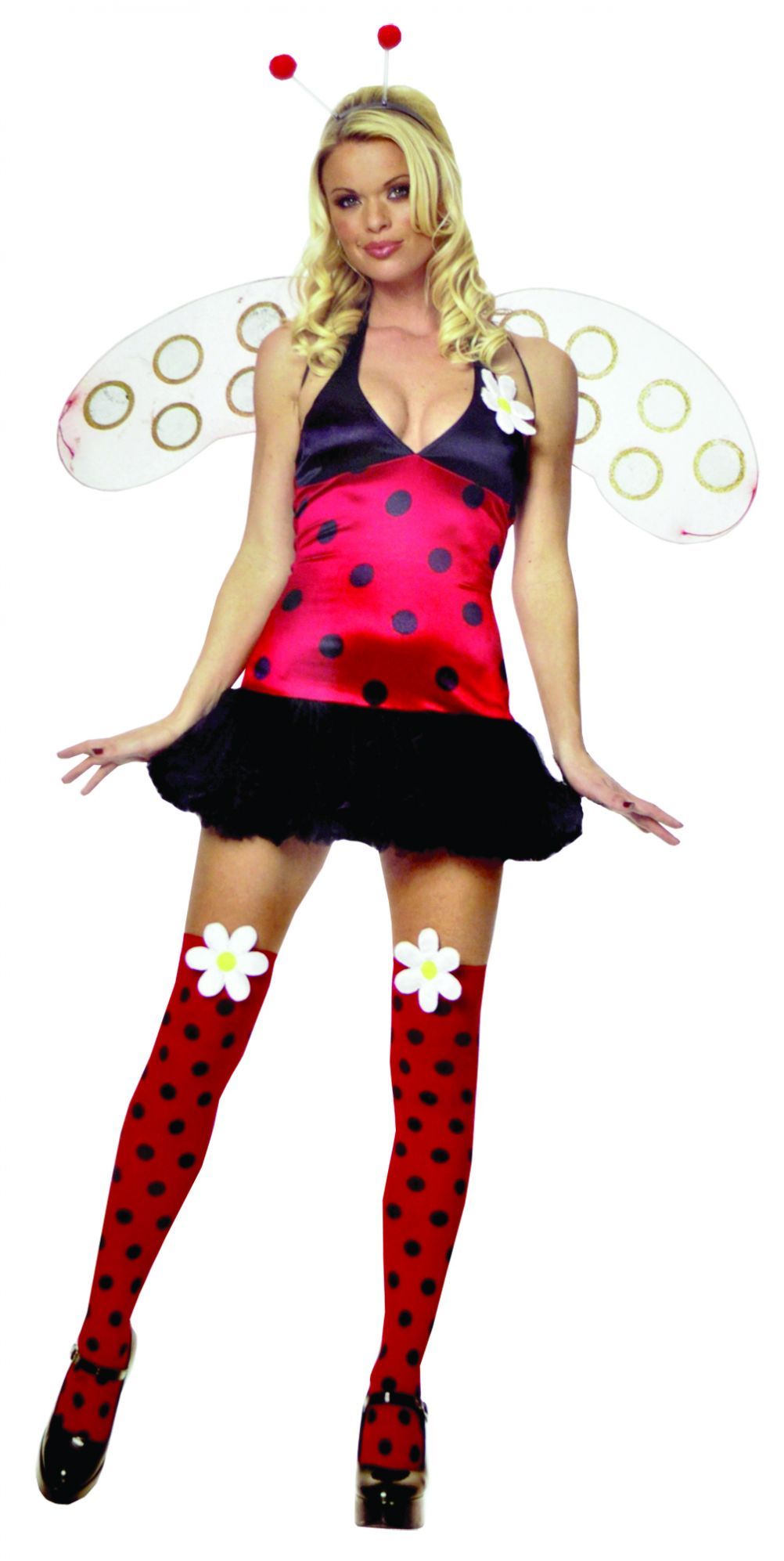 daisy-bug-halter-48.png