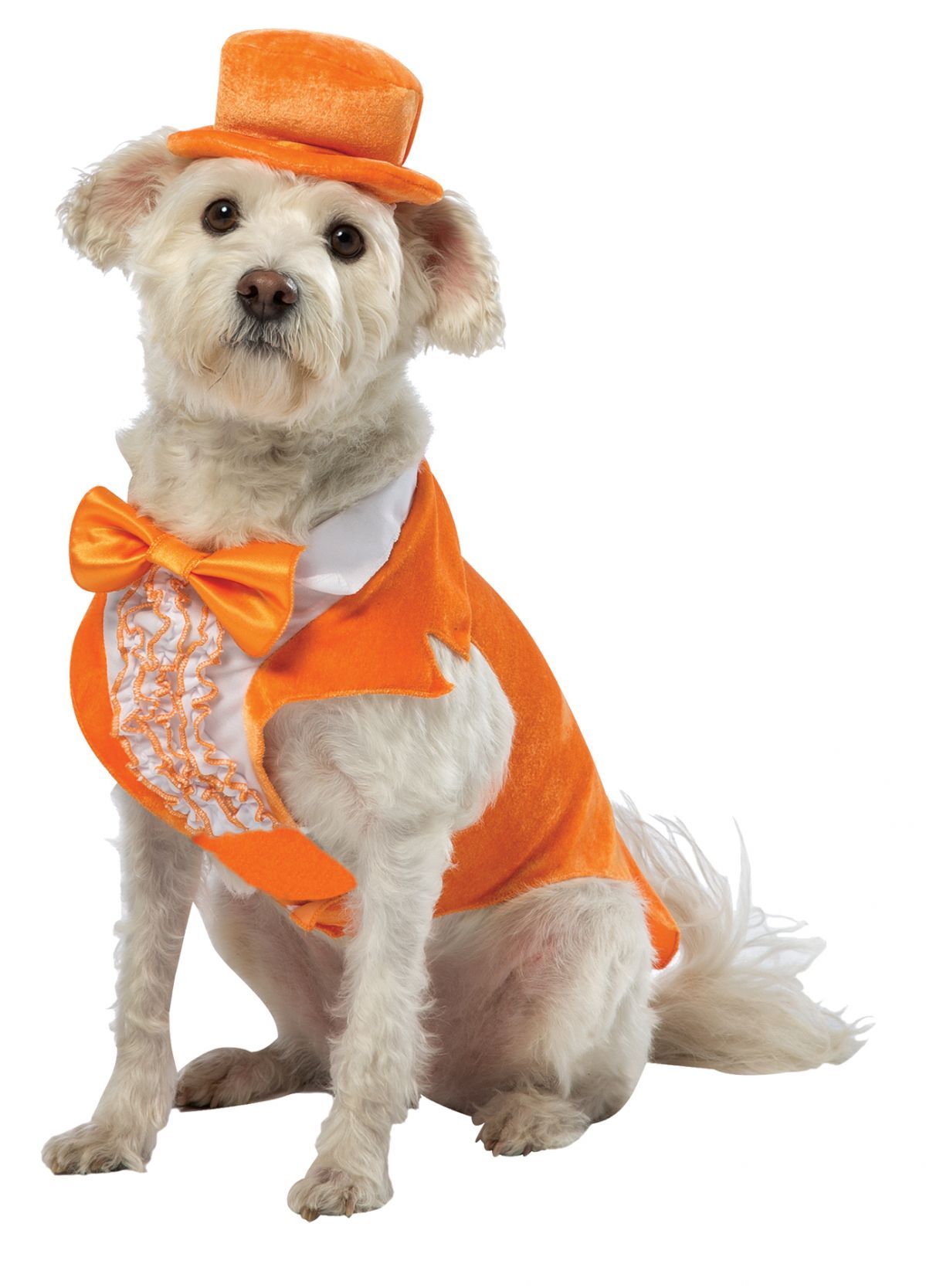 dumb-dumber-lloyd-tux-dog-xl-costume-20.png