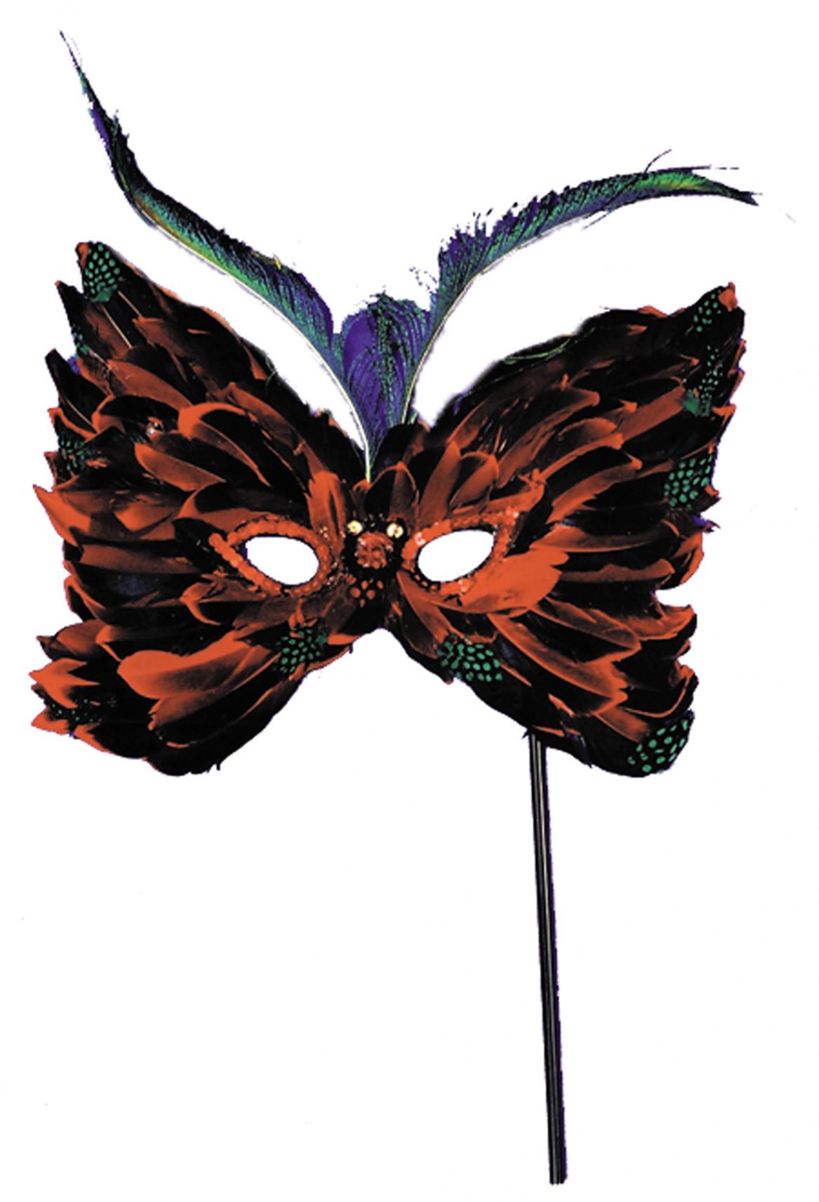 feather-mask-w-stick-assort-52.png